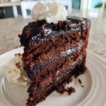 Oatmeal Fudgy Cake​