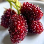 Homemade Mulberry Jam Recipe – Sweet Summer Spread
